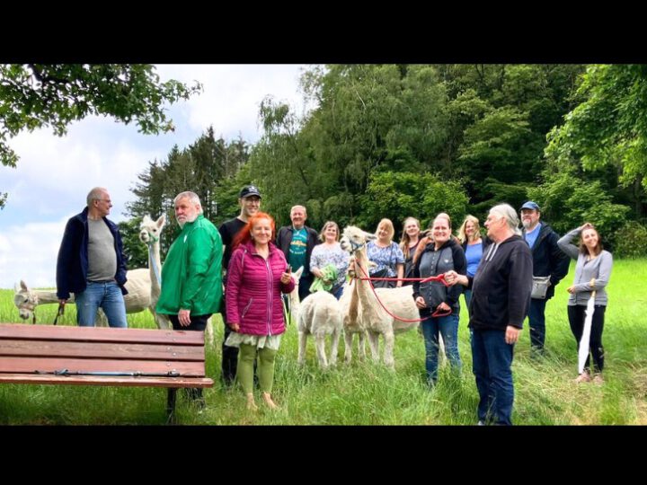 auf einem Rasenstück vor einem Wald steht die Wandergruppe der Ambulanten Wohnhilfen Bensheim mit vier weißen Alpakas.